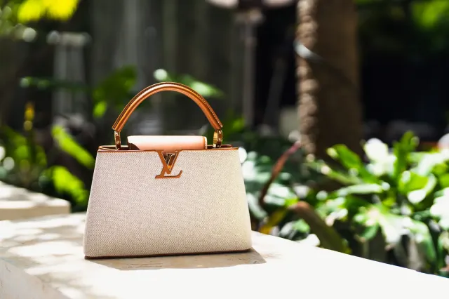 Louis Vuitton Capucines MM